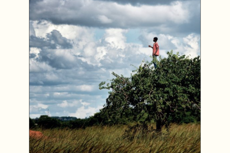 Le Printemps des poètes ce vendredi à Bouin