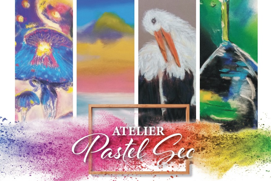 Une expo de pastels à Chateauneuf