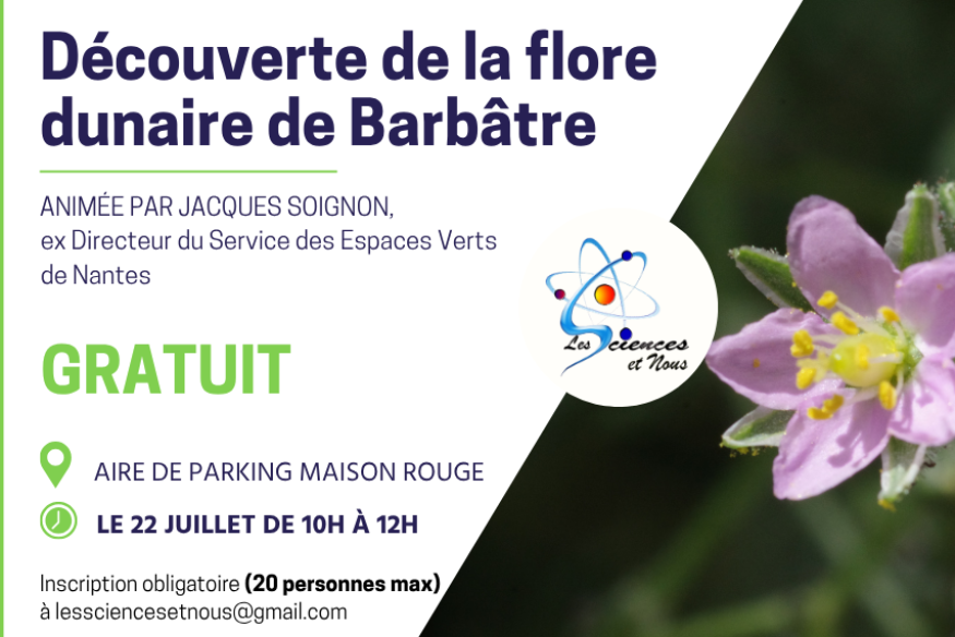 Découverte de la flore dunaire de Barbâtre
