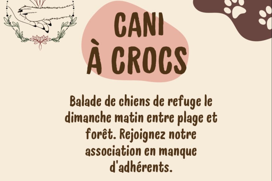 Et si vous promeniez des chiens de refuge le dimanche matin ?